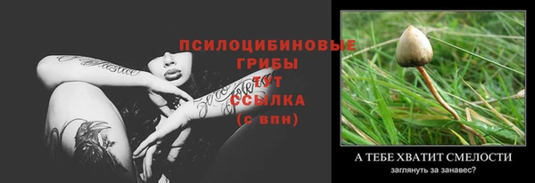 амф Абдулино