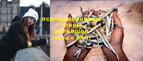амф Абдулино